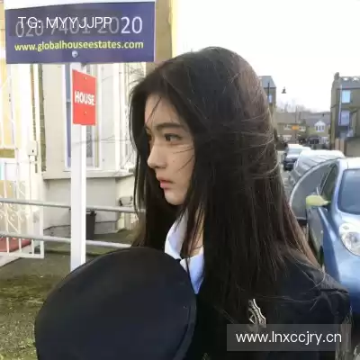 陆冶书